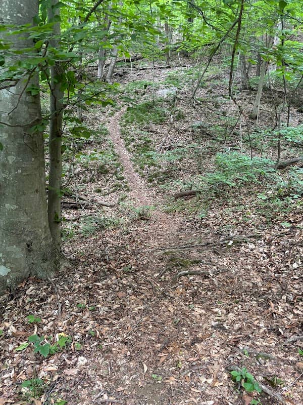 Sugar hollow cave1 - Image 1