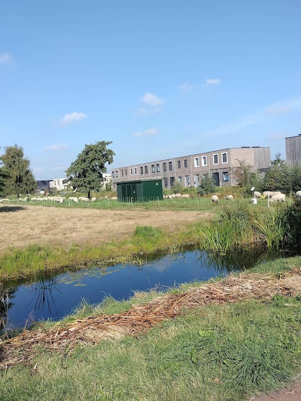 Oudeschoot - Image 2