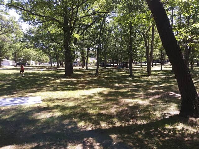 Red Szymarek Park - Image 2