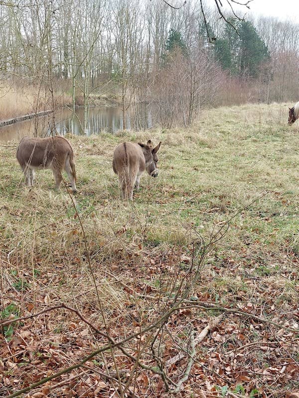 Kinderboerderij Middelharnis - Image 1