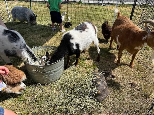 Little Explorers Mobile Petting Zoo - Image 2