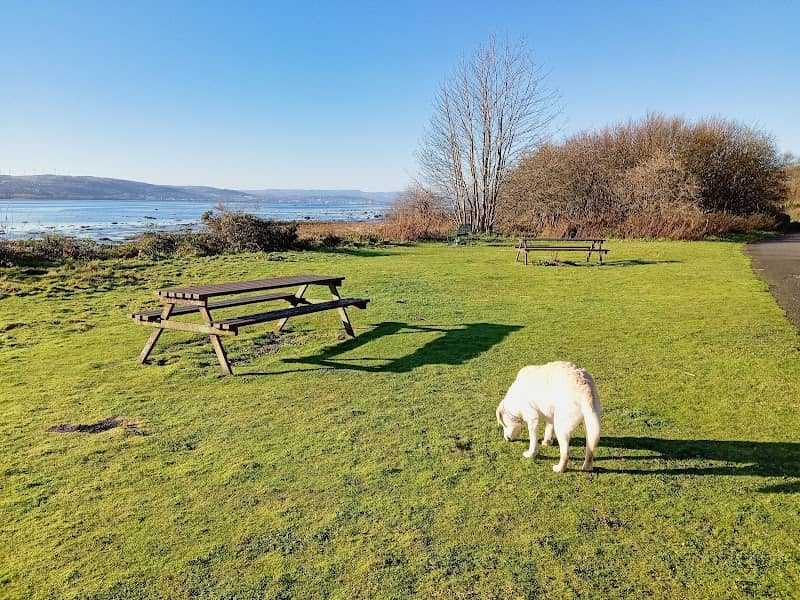 Clyde Viewpoint - Image 2