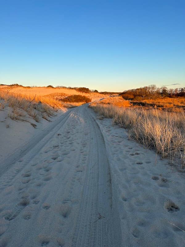 Sandy Neck Preserve - Image 1