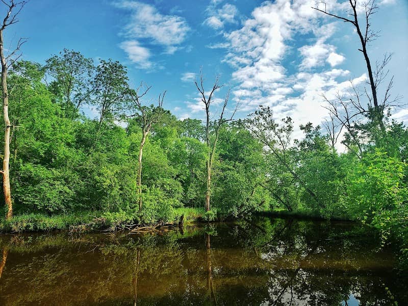 Gilliom-Cherp Nature Park - Image 2