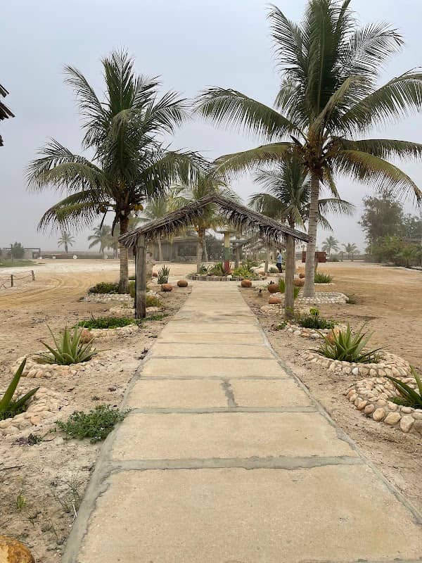 صلالة - Image 3