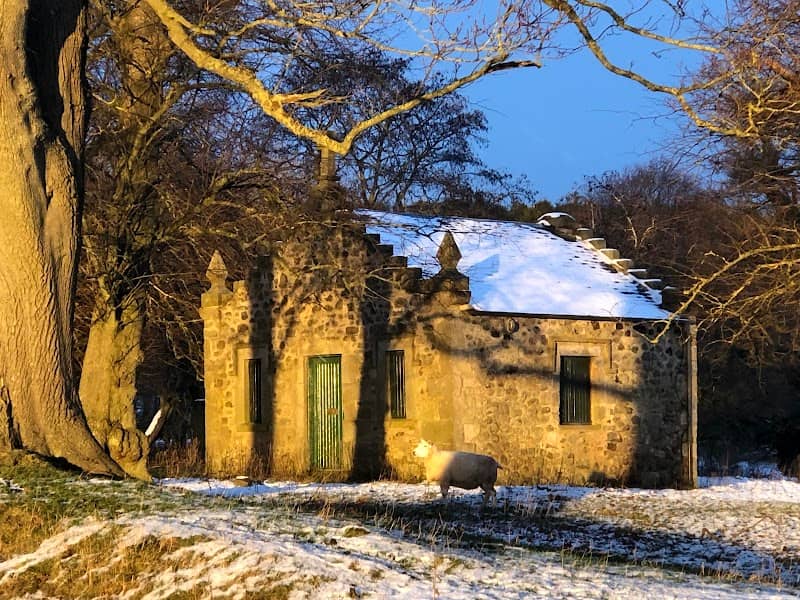 Paddy’s Cottage - Image 2