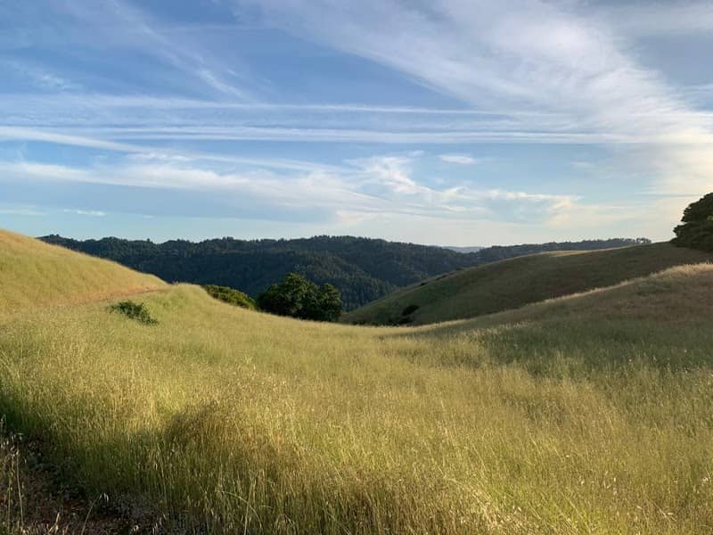 Black Mountain Trail - Image 2