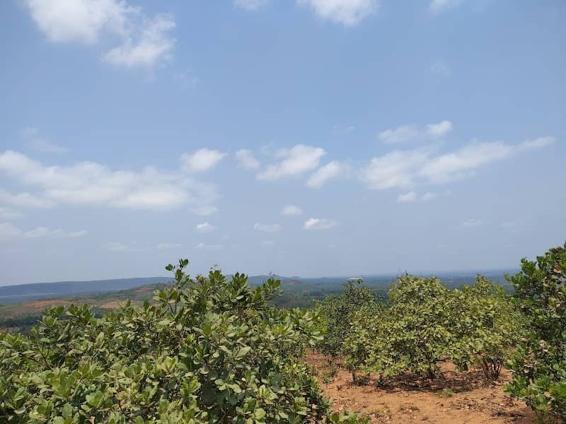 Sriramavaram Hill Station - Image 2