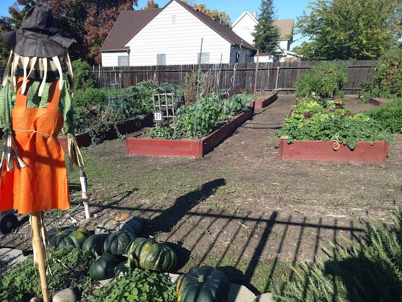Lincoln Community Gardens - Image 2