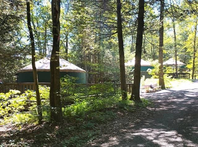 Tuscarora State Park Yurts - Image 2