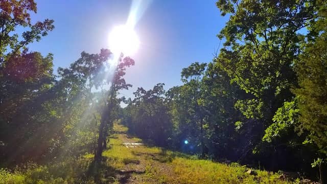 Pinnacle View Trail - Image 1