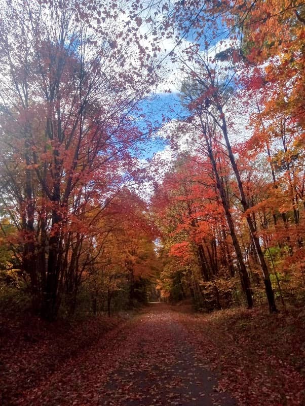 Fred Meijer White Pine Trail State Park - Image 2