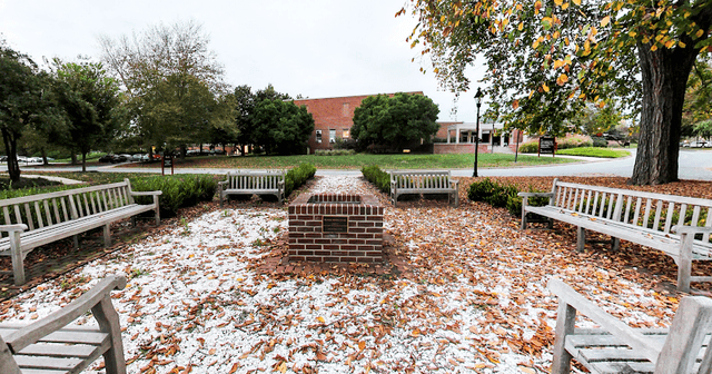 Kirwan Meditation Garden - Image 1