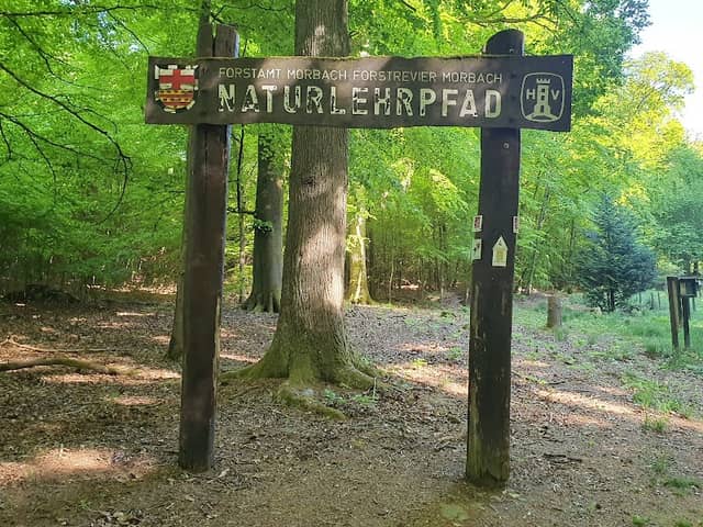 Waldlehrpfad - Image 1