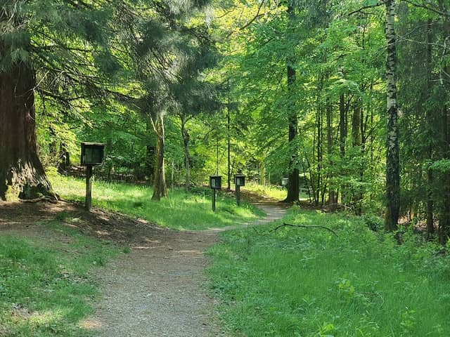Waldlehrpfad - Image 2