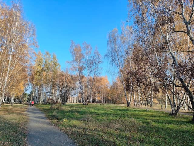 Naturpfad am Hahneberg - Image 1