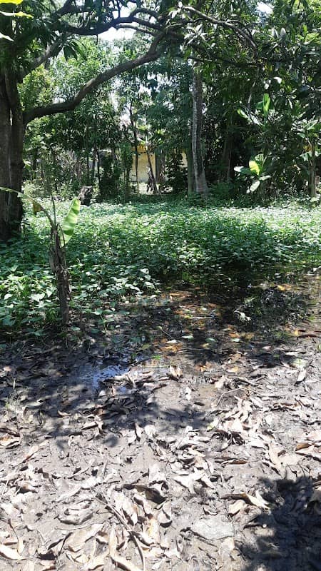 Balongan - Image 1