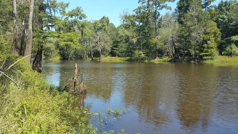Lower Escambia River Water Management Area - Image 1