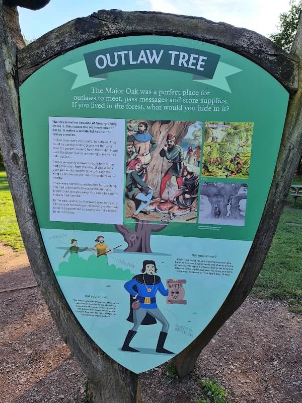 The Major Oak - Image 3