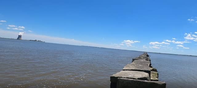 Reedy Island Jetty - Image 1