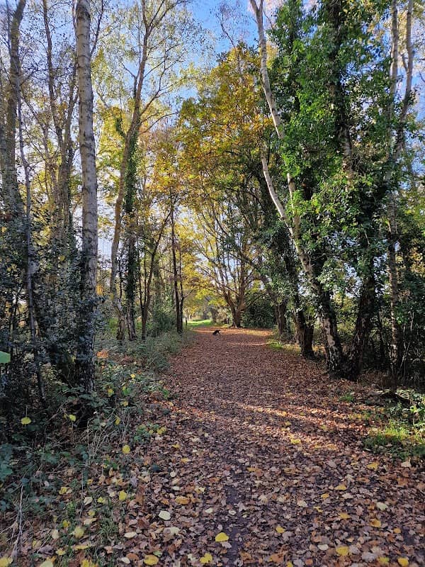 Yateley Common Country Park - Image 2
