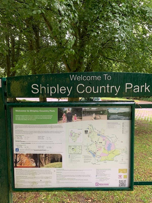 Shipley park forest - Image 2