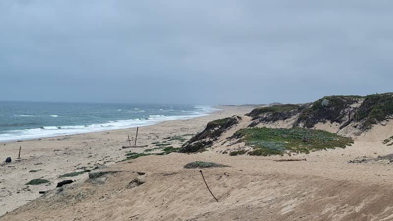 Marina Dunes Preserve - Image 2