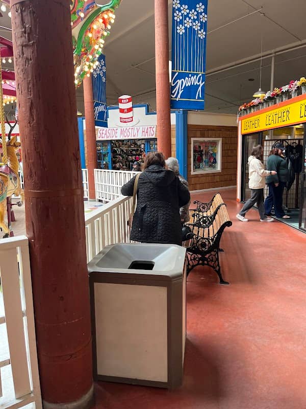 The Carousel - Image 1