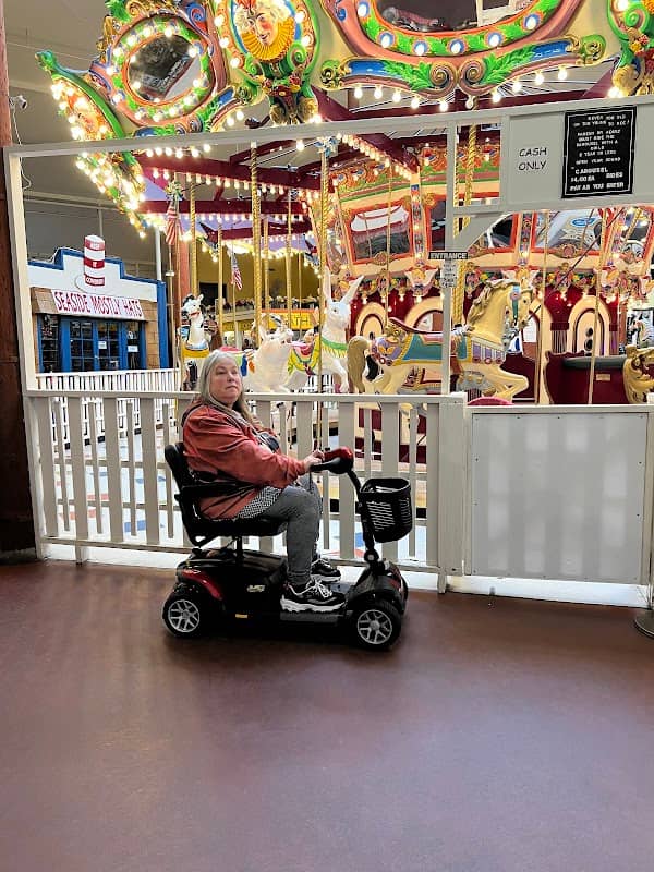 The Carousel - Image 2