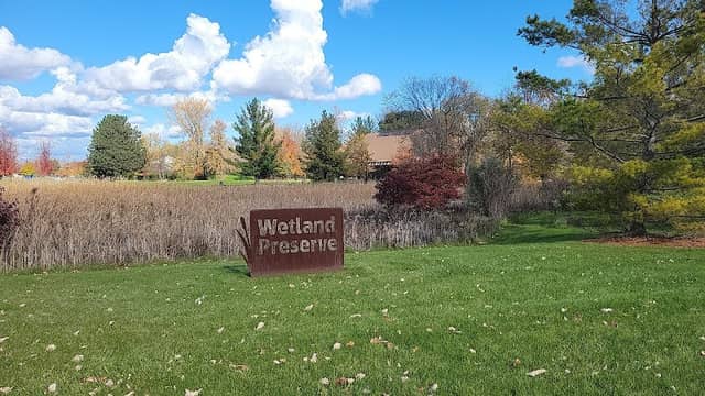 SVSU wetland preserve - Image 1