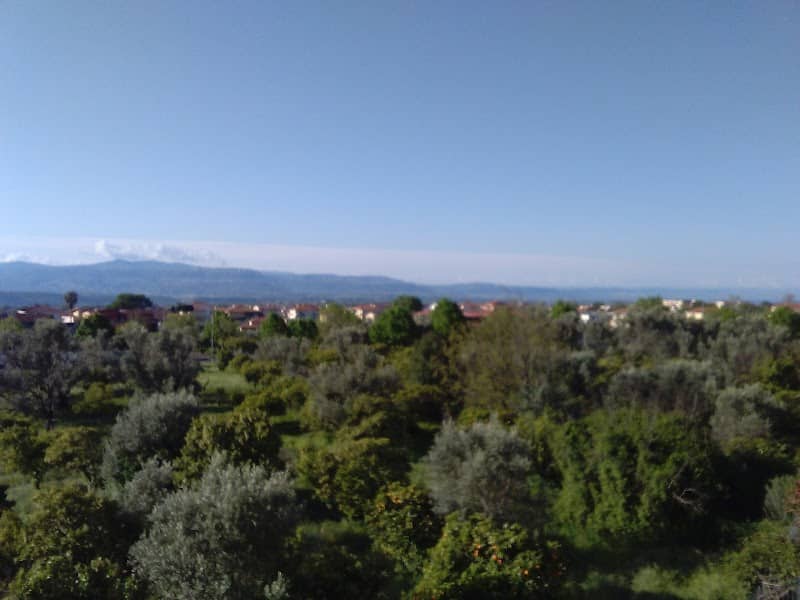 Lamezia Bocce - Image 2