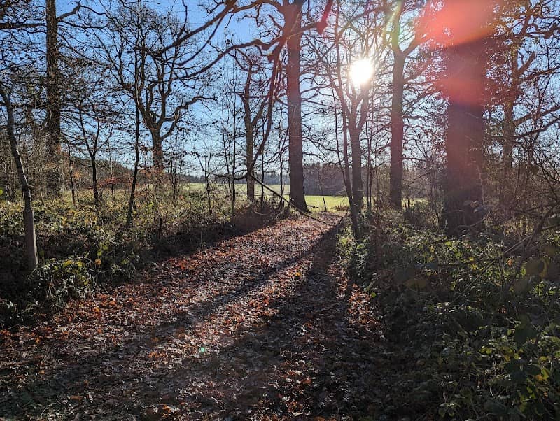 Ammerdown Woods - Image 2