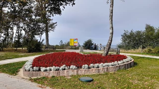 Kwiatowe Serce - Image 1