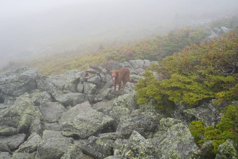 Jewell/Gulfside Junction - Image 2