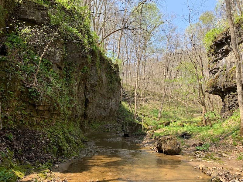 Cliff Run Preserve - Image 2