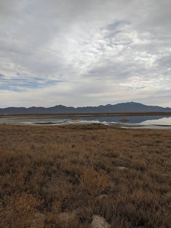 Willcox Playa - Image 2