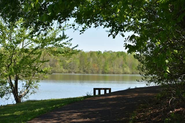 Cane Creek Park - Image 1
