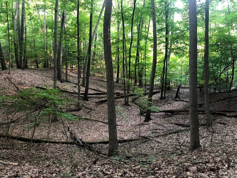 North Ottawa Dunes - Image 2