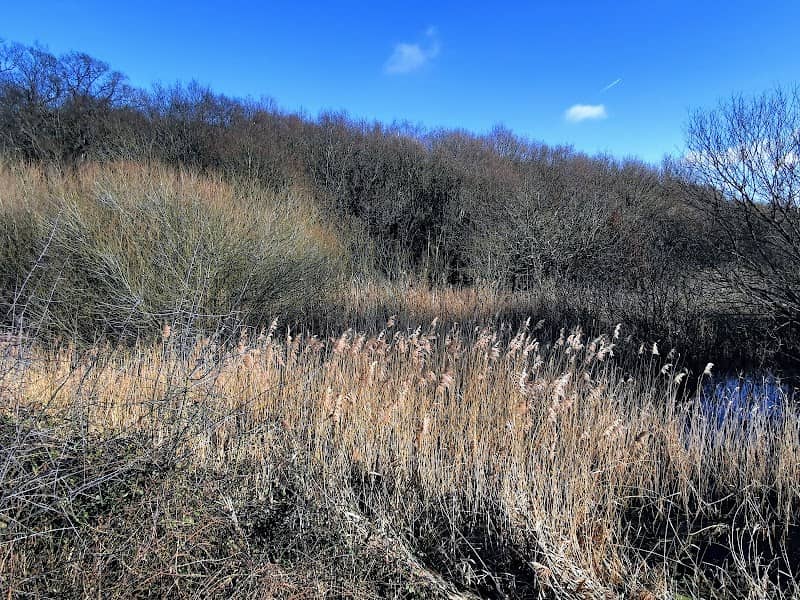 Hythe Lagoons - Image 2