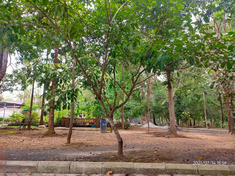 Arboretum Befordi - Image 2
