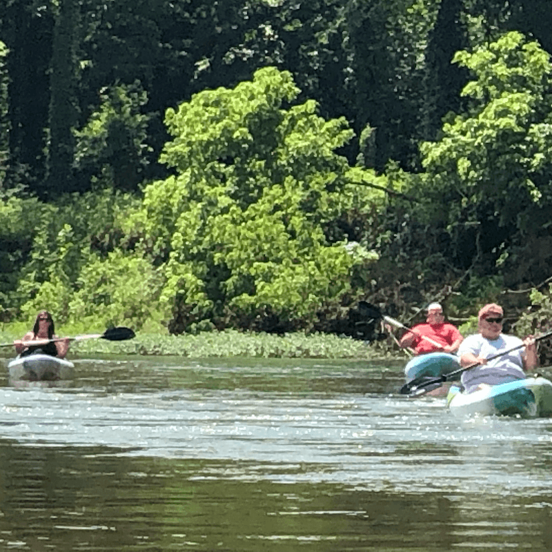 Kayak,canoe or Float niangua river Bennett springs - Image 1