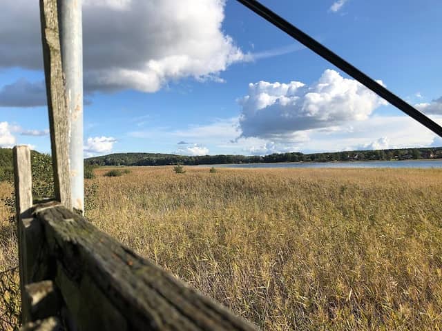naturnaher Laubwald - Image 2