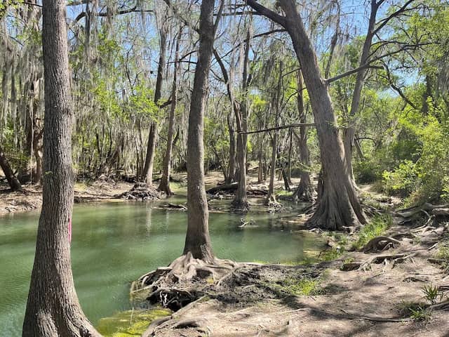 Castroville Regional Park - Image 1