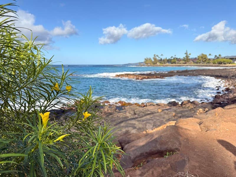 Shoreline Rocks - Image 3