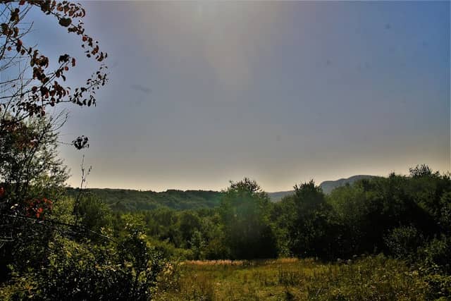 Frankow - Image 2