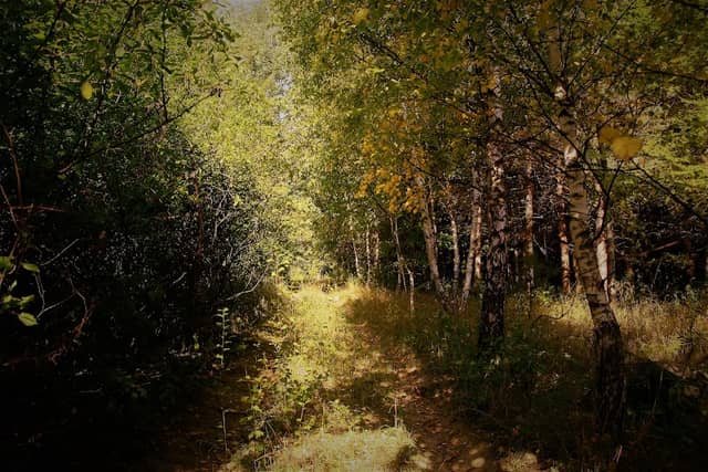 Frankow - Image 1