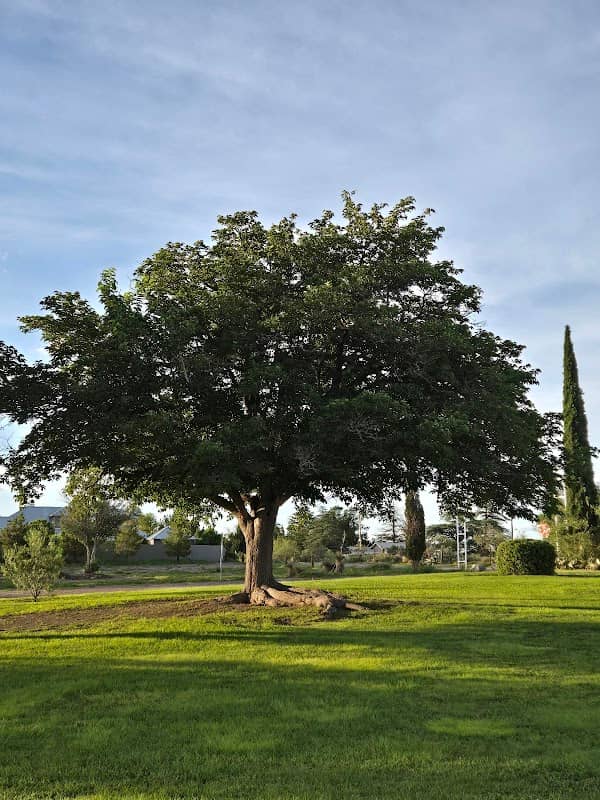 Coffield Park - Image 2