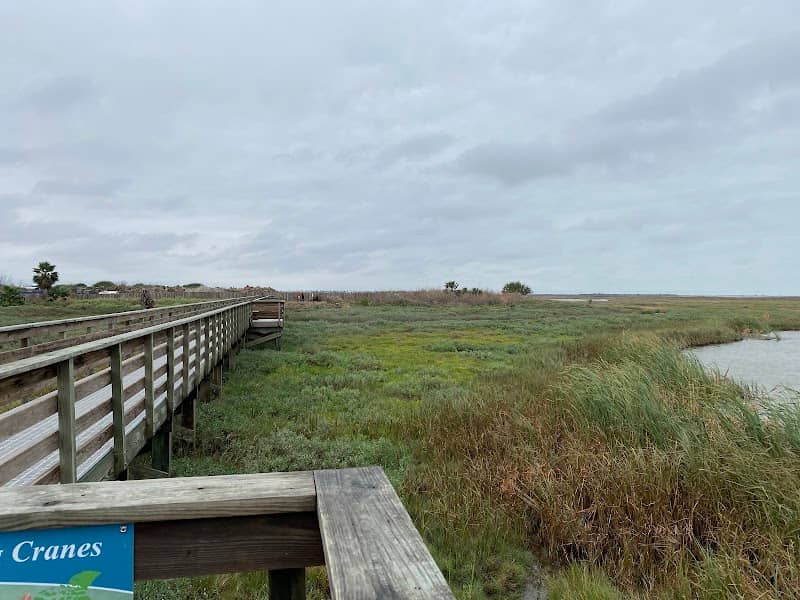 Leonabelle Turnbull Birding Center - Image 1