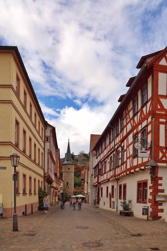Mainwiesen - Image 1