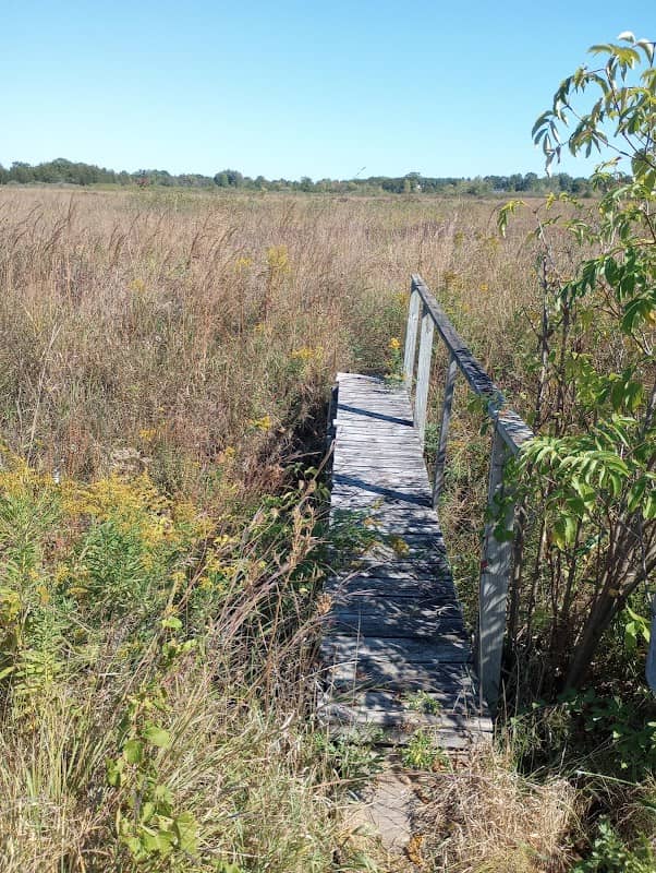 Goose Creek Grasslands - Image 1